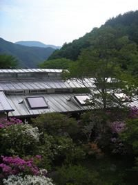 Backyard in Nagano